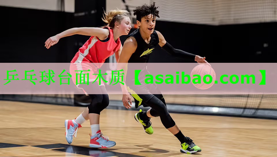 乒乓球台面木质