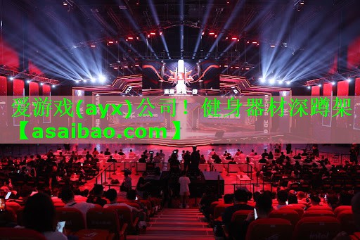 爱游戏(ayx)公司！健身器材深蹲架