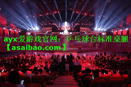 乒乓球台标准桌腿 乒乓球台标准桌腿
