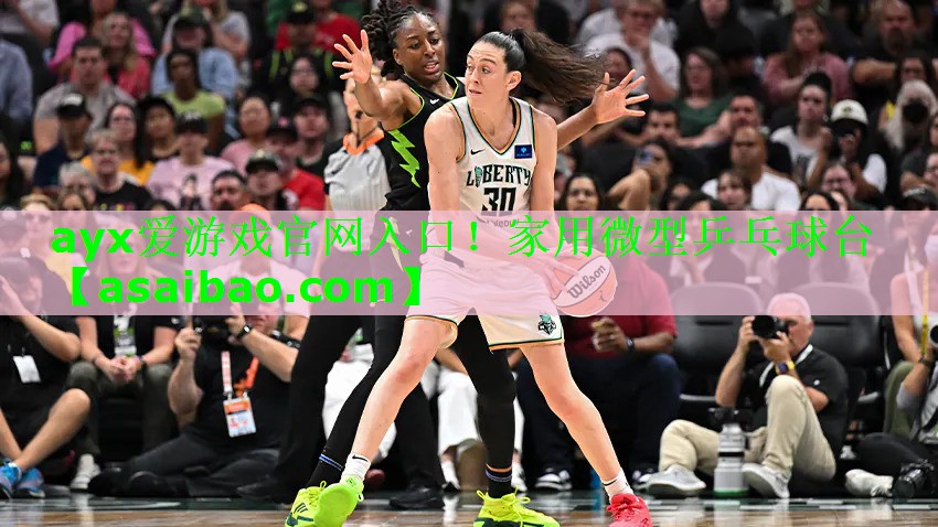 家用微型乒乓球台 家用微型乒乓球台
