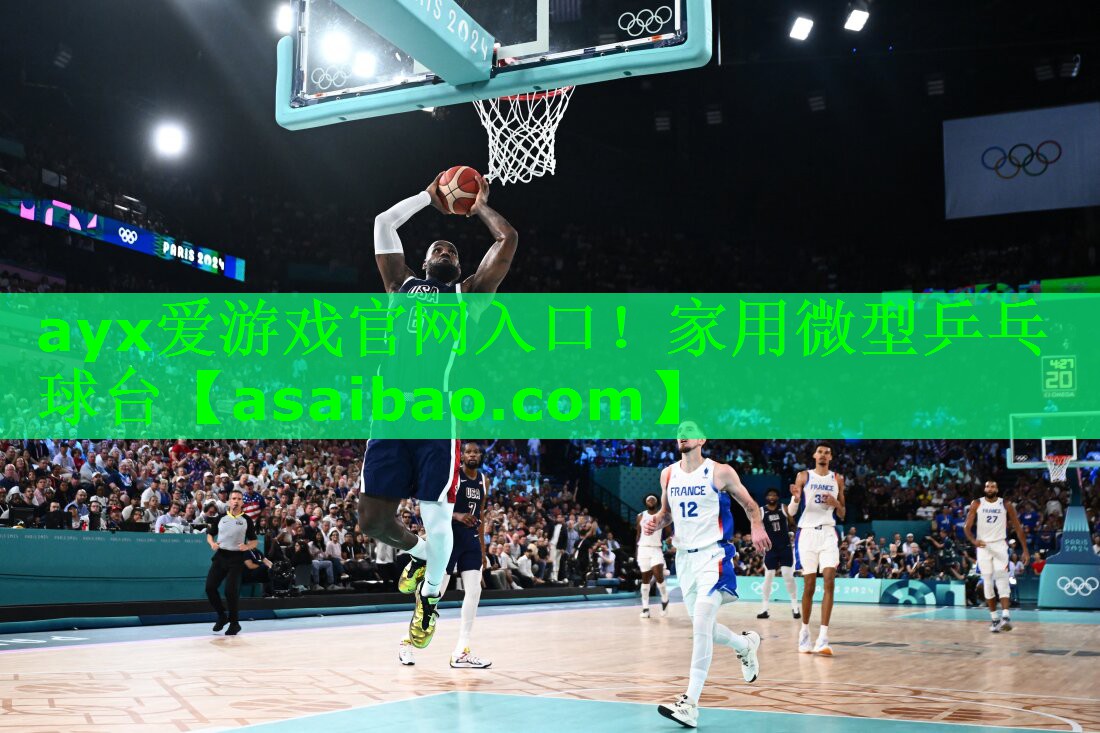 家用微型乒乓球台 家用微型乒乓球台