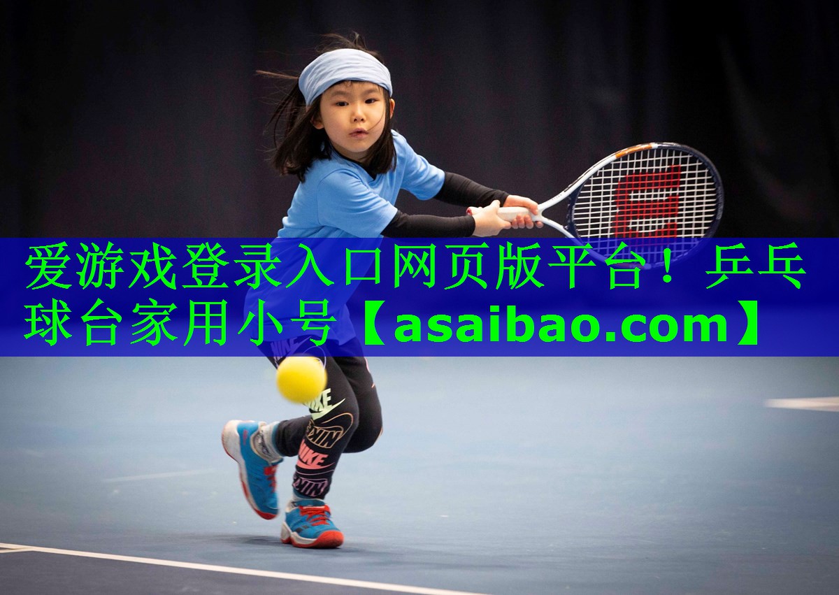 乒乓球台家用小号
