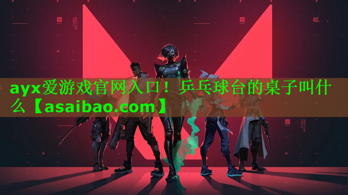 乒乓球台的桌子叫什么