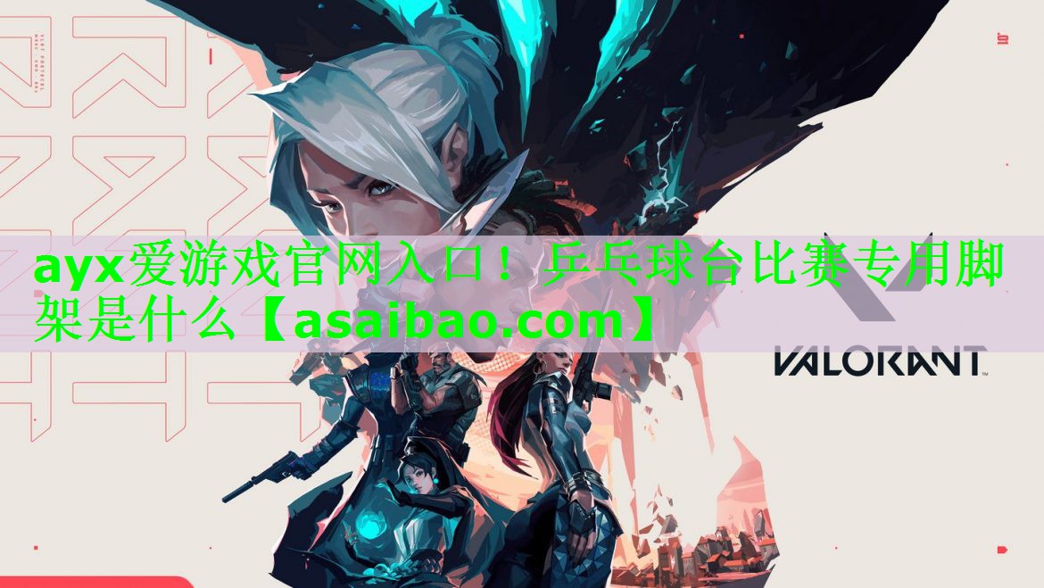 乒乓球台比赛专用脚架是什么 乒乓球台比赛专用脚架是什么